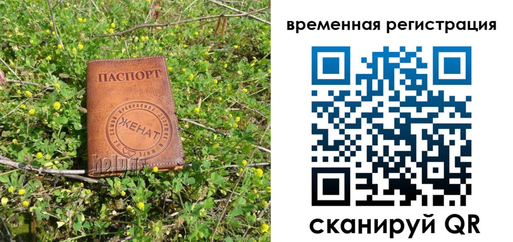 прописка регистрация в Бикине